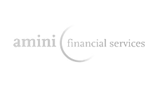 Z Amini Financel Services